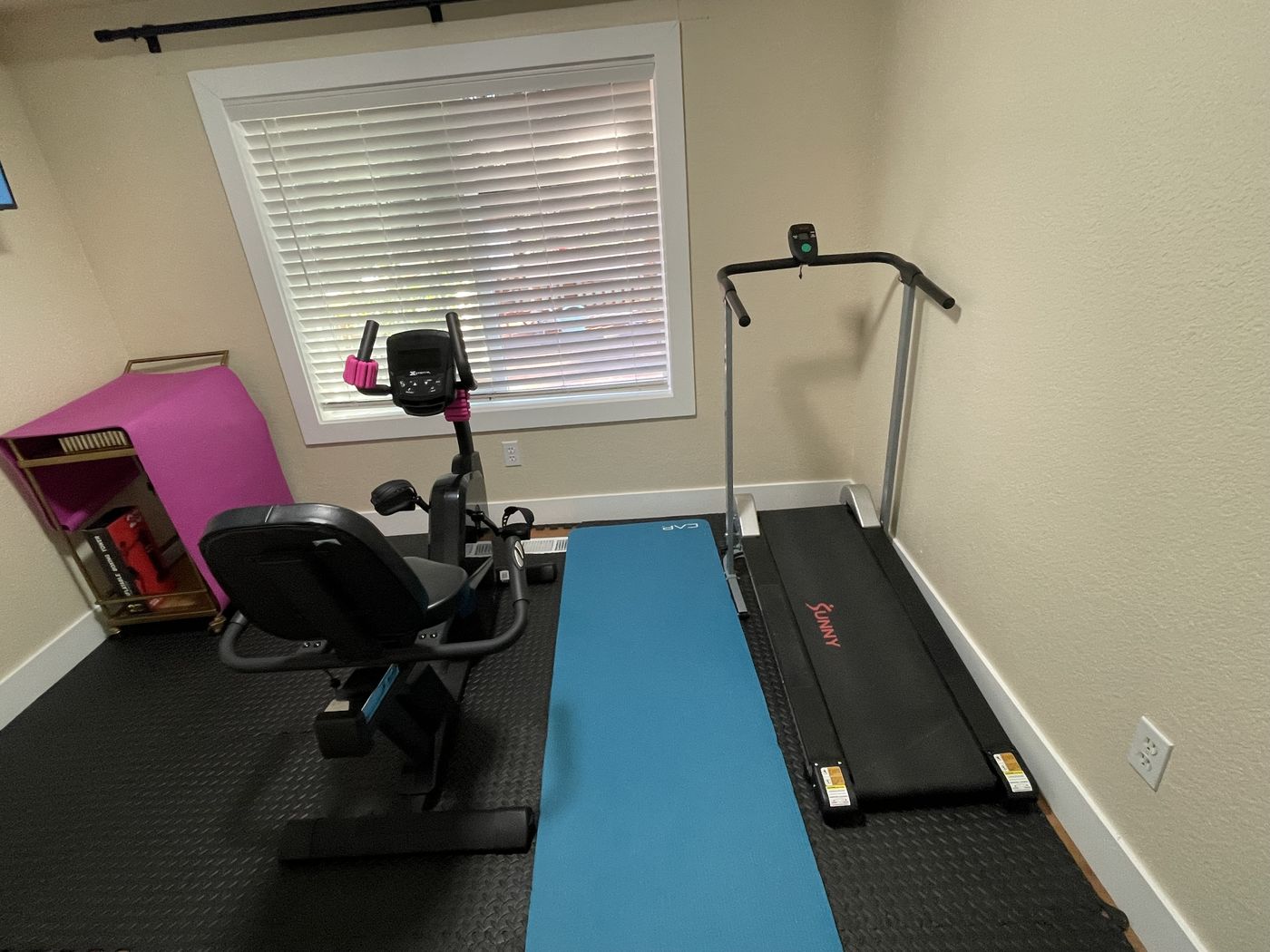 The exercise room, with a recumbent bike, an exercise mat and a walking treadmill on a padded floor.